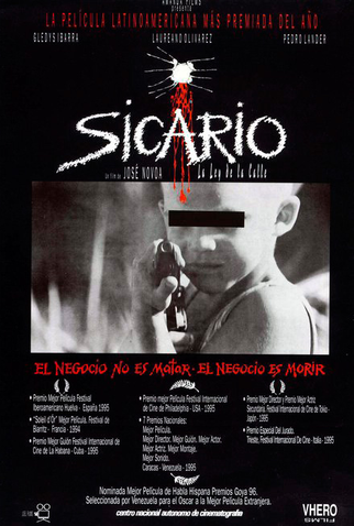 Poster 1 de Filme Sicario (1994)