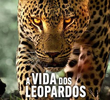 A Vida dos Leopardos