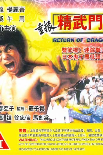 Poster de Filme Return of Dragon (1998)