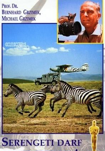 Ao Leste do Congo (Serengeti Darf Nicht Sterben)