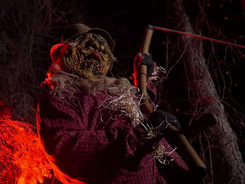 Foto 1 de The Stalking