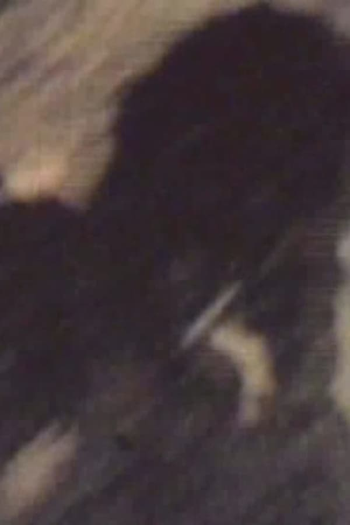 Poster de Curta I Saw the Shadow (1966)