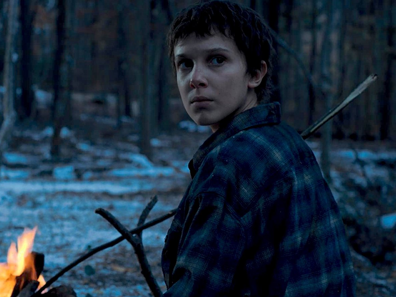 Foto 21 de Stranger Things (2ª Temporada)