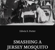 Smashing a Jersey Mosquito
