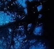 La Promenade Bleue
