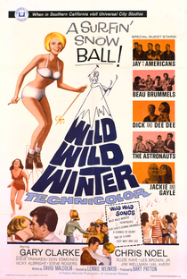 Wild Wild Winter - Poster / Capa / Cartaz - Oficial 1