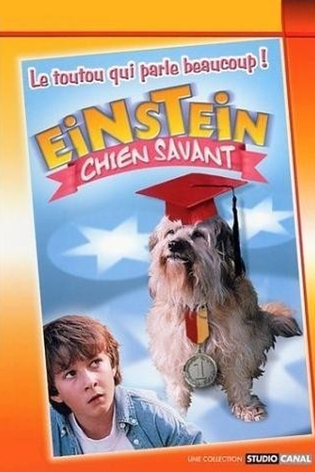 Poster de Filme Meu Amigo Einstein (1998)