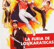 A Fúria dos Karatecas