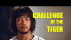 Wu Tang Collection: Challenge Of The Tiger