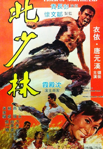 Tiger of Northland (Bei Shao lin)