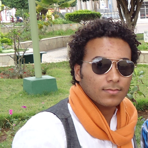 Foto de perfil de Paulo