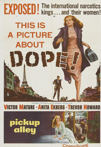 Perseguição Sem Tréguas (Interpol)