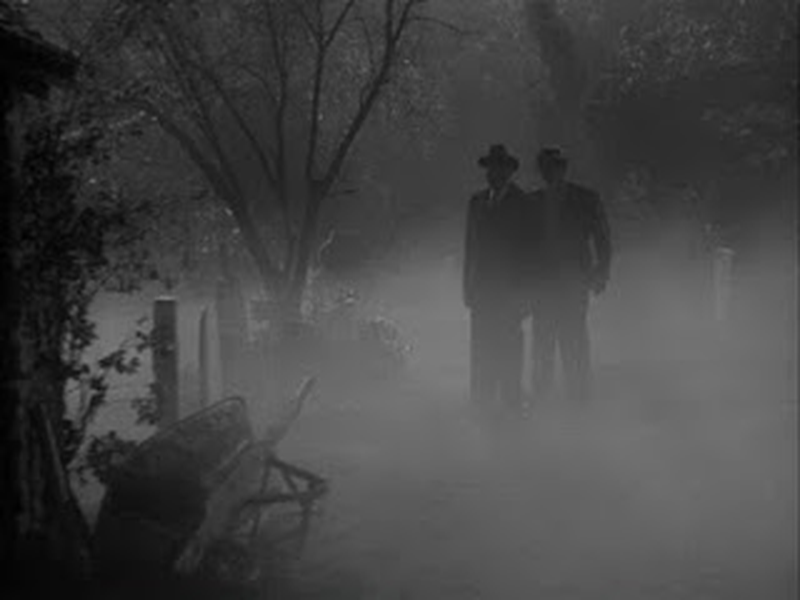 Foto 11 de O Abutre Humano