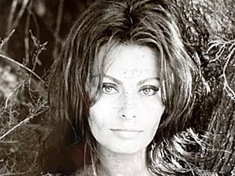 Foto 7 de Felizes Para Sempre