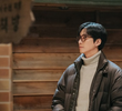 11회