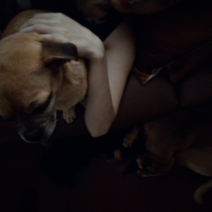 Foto de perfil de Bruna Sousa Dias