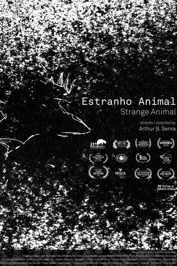 Poster de Curta Estranho animal (2019)
