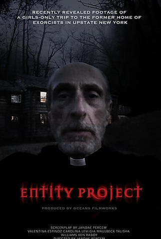 Poster 1 de Filme Entity Project (2019)