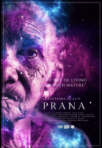 PATTERNS OF LIFE: PRANA (PATTERNS OF LIFE: PRANA)