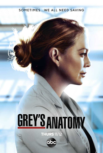 A Anatomia de Grey (17ª Temporada) - Poster / Capa / Cartaz - Oficial 1