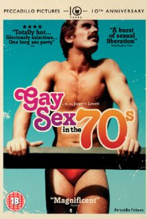 Sexo Gay nos Anos 70 - Poster / Capa / Cartaz - Oficial 1