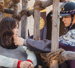 2회