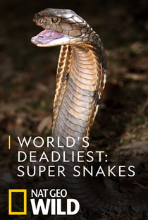 As Cobras Mais Perigosas do Mundo - Poster / Capa / Cartaz - Oficial 1