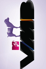 MTV Video Music Brasil | VMB 2010 (MTV Video Music Brasil | VMB 2010)