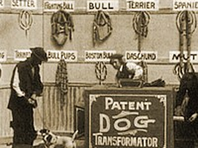 Foto 1 de Dog Factory