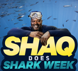 Shaquille O'Neal vs Tubarão