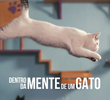 Dentro da Mente de um Gato