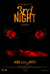 3rd Night - Poster / Capa / Cartaz - Oficial 1