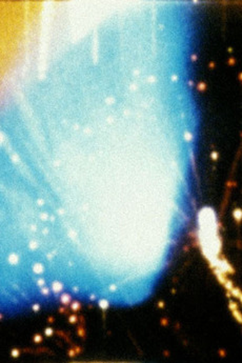 Poster de Curta Looking for Mushrooms (1967)