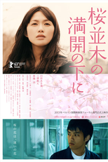 Cold Bloom (Sakura Namiki no Mankai no Shita ni / 桜並木の満開の下に)