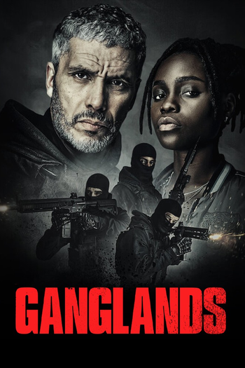 Poster de Franquia Braqueurs : La série (2021)