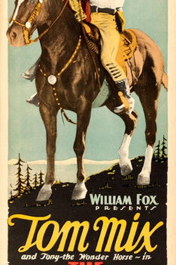 Poster de Filme O Gato do Arizona (1927)