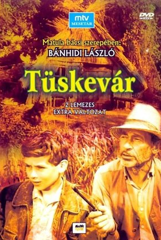 Poster 3 de Filme Tüskevár (1967)