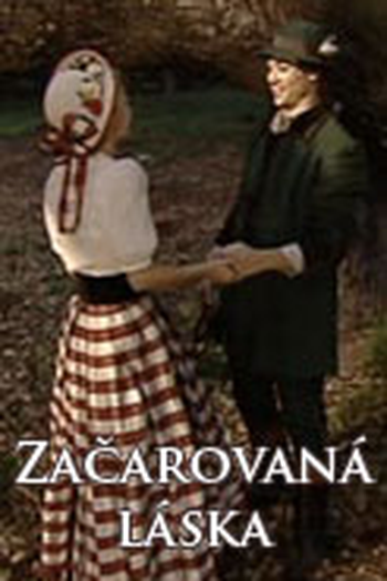 Poster de Filme Amor Encantado (2007)