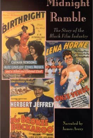 Poster 1 de Filme Midnight Ramble (1994)