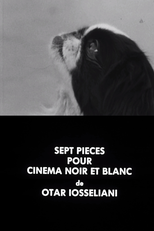 Sete fragmentos para um filme em preto e branco (Sept pièces pour cinéma noir et blanc)