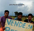 Vende-se pequi