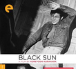 Black Sun