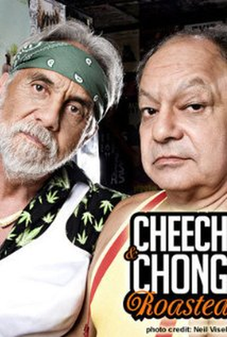 Poster 1 de Filme Cheech and Chong - Roasted (2008)