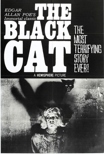 The Black Cat - Poster / Capa / Cartaz - Oficial 1