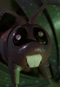 Primavera (Primavera)