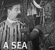 A Sea Dog's Tale