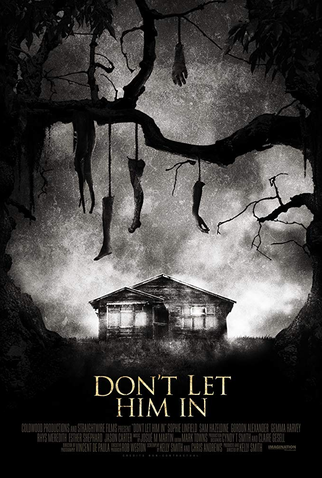 Poster 2 de Filme Don't Let Him In (2011)