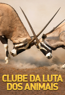 Clube da Luta dos animais  (Animal Fight Club )