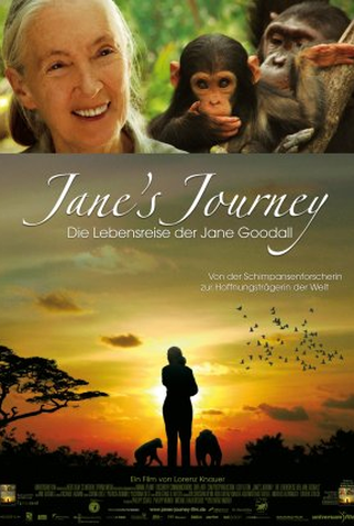 Poster 1 de Filme A Jornada De Jane (2010)