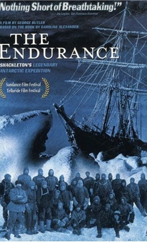 the endurance shackleton